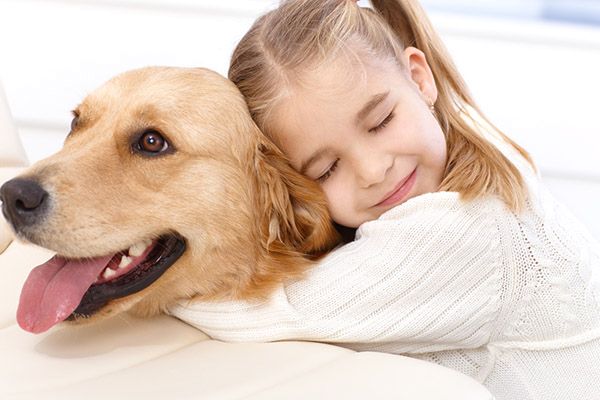5 рекомендацій щодо догляду за домашніми тваринами
