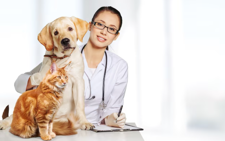 Яку обрати ветеринарну клініку для свого улюбленця?
