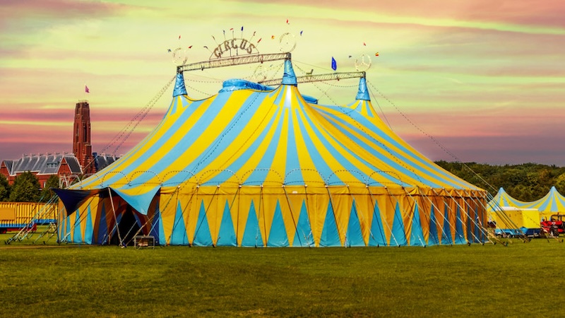 До чого сниться цирк: тлумачення сну