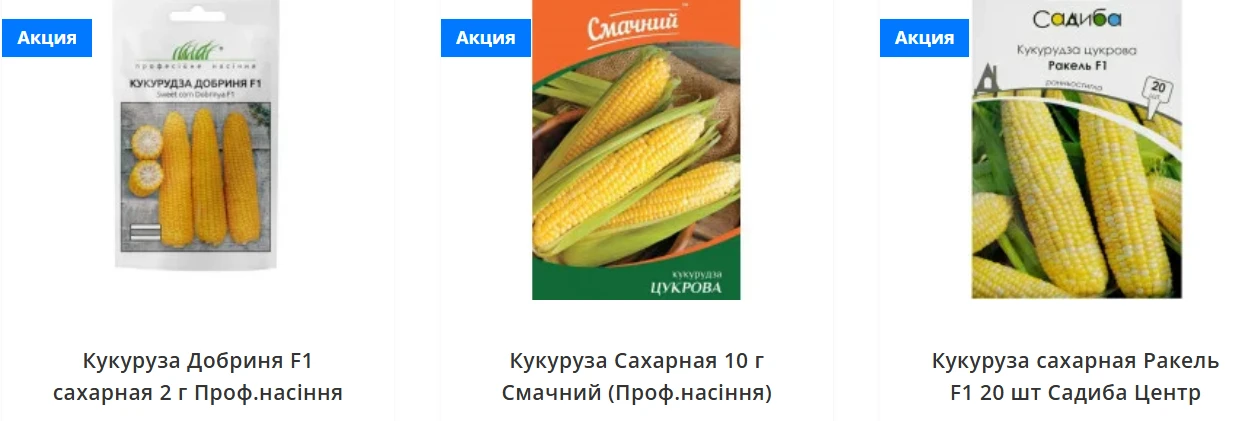Семена кукурузы от Matla Flowers: как выбрать под участок и получить ровные всходы